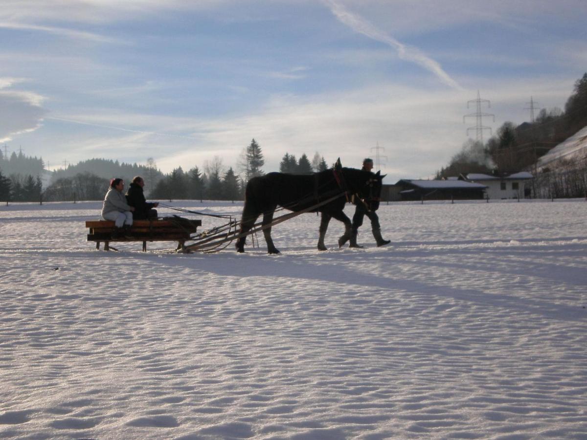 In Austria Near Area