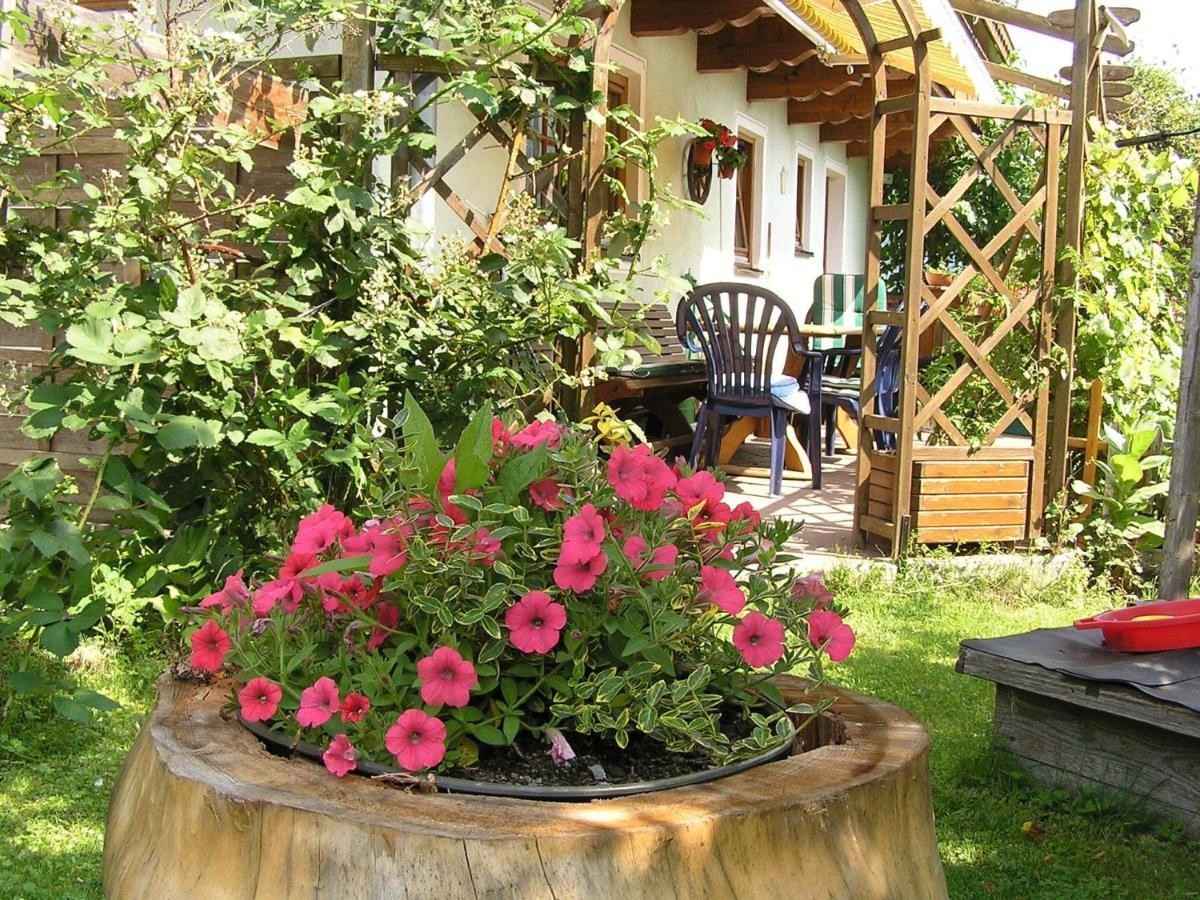 Apartment In Austria Near Area Embach